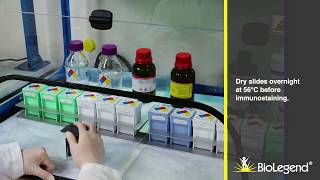 FFPE Tissue Slide Preparation and Processing [upl. by Akiemehs957]