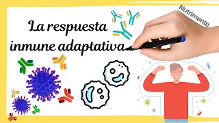 La respuesta inmune ADAPTATIVA [upl. by Lotty356]