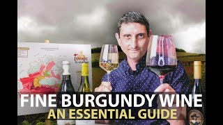 10Minute Guide to Burgundy  Fine Wines from Bourgogne Part1 [upl. by Yerggoeg]