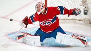 Best Saves in NHL History [upl. by Lucretia]