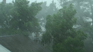 Heavy Rain and Wind Sounds For Sleeping  Relaxation  10 Hours [upl. by Irrab972]