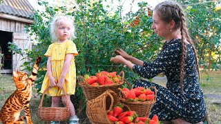 What RUSSIANS make from BERRIES The Ulengovs family life in the Russian village [upl. by Suhpoelc]