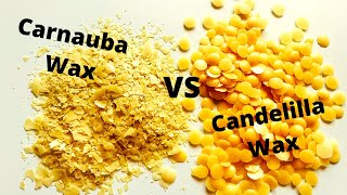 Candelilla Wax VS Carnauba Wax [upl. by Yusuk]