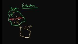 Estimators  the basics [upl. by Clementina]