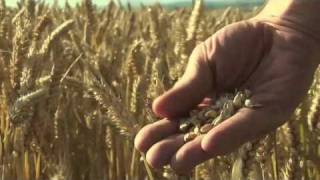 Food Matters Official Trailer [upl. by Fisch]