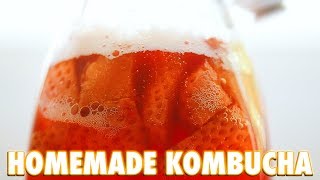 How To Make Kombucha At Home [upl. by Arda]