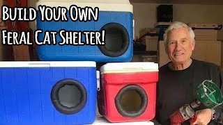 Your Full Guide To Make Stray Cat Shelter [upl. by Dorine807]