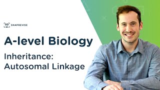 Autosomal Dominant Traits in a Pedigree [upl. by Orten579]