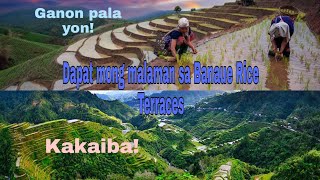 Banaue Rice Terraces as Tourist Attraction in the PhilippinesHagdanhagdang Palayan [upl. by Socrates]