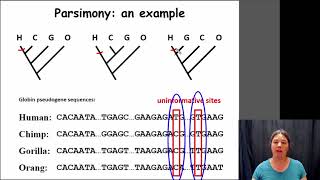 Parsimony [upl. by Odlaumor19]