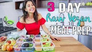 RAWVEGAN MEAL PREP FOR WEIGHTLOSS đźŚżYovana [upl. by Gilbertine]