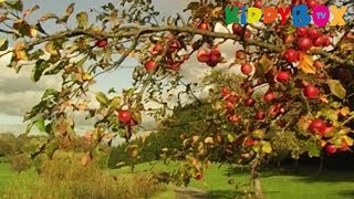 Vivaldi  VIER JAHRESZEITEN  Herbst  Autumn [upl. by Ringsmuth]