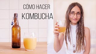 Kombucha hecho en casa [upl. by Hsemar]