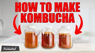 How To Make Kombucha  Tutorial [upl. by Eninnaej]