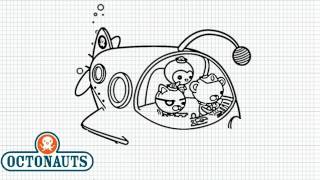 The Octonauts  How to Draw The Octonauts from the Octopod  Video [upl. by Gildas683]