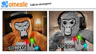 OMEGLE Trolling in Gorilla Tag [upl. by Ynnel]