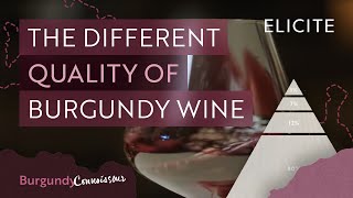 How To Tell The Quality Of A Burgundy Wine [upl. by Lezley]