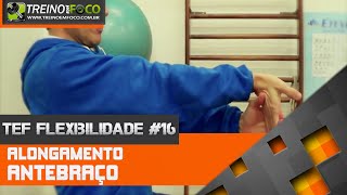 Como alongar a musculatura do Antebraço  TEF Flexibilidade 16 [upl. by Aerona]