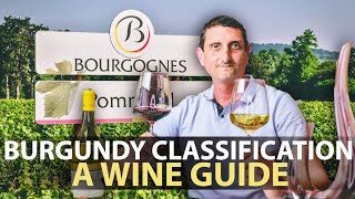 The Wine Classification System of Burgundy  Explained [upl. by Stephani]