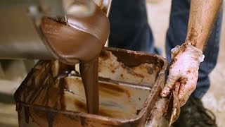 Chocolate Production Process [upl. by Deyes]