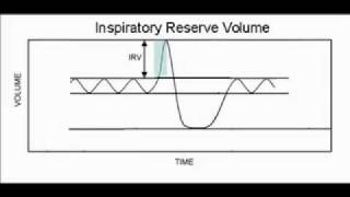 Spirometry [upl. by Ellezaj]