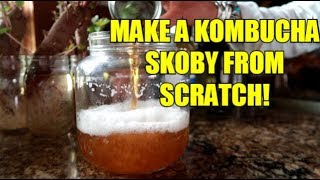 HOW TO MAKE YOUR OWN KOMBUCHA SCOBY EASY [upl. by Araik]