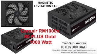 Corsair RM1000x 80 PLUS Gold 1000 Watt REVIEW [upl. by Jehias]