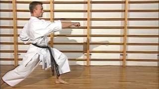 Karaté  cours 5  kumite et kihon [upl. by Esilana399]