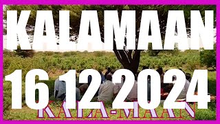 KALAMAAN 16 DECEMBER 2024 [upl. by Idarb]